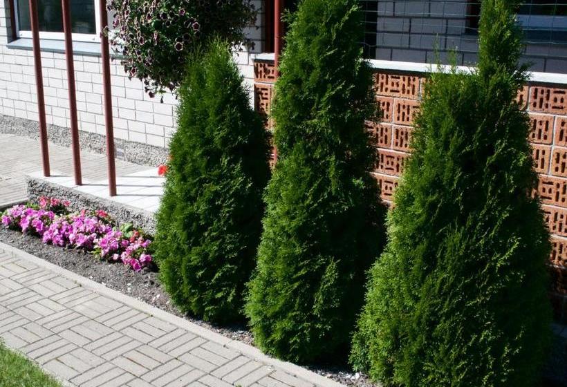 تختخواب و صبحانه Nooruse Majutus