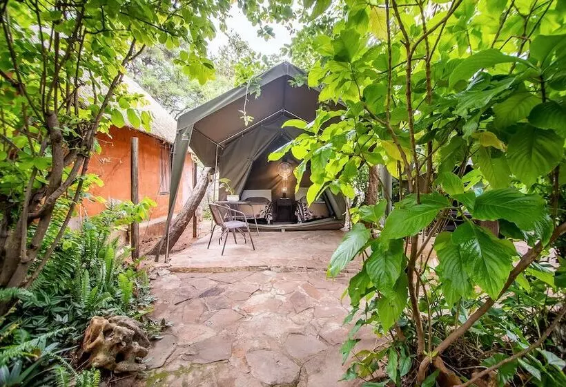 مسافرخانه Victoria Falls Backpackers Lodge