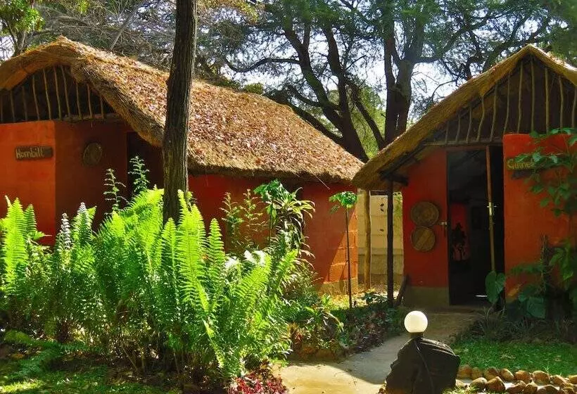 مسافرخانه Victoria Falls Backpackers Lodge