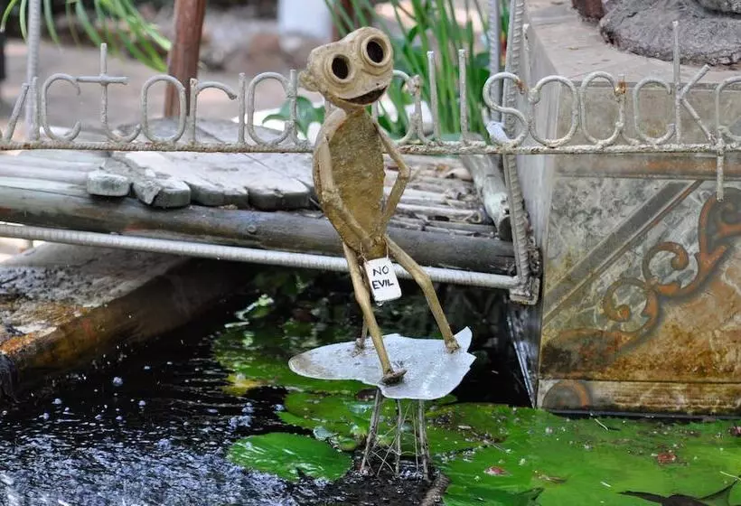 مسافرخانه Victoria Falls Backpackers Lodge