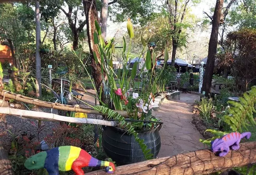 مسافرخانه Victoria Falls Backpackers Lodge