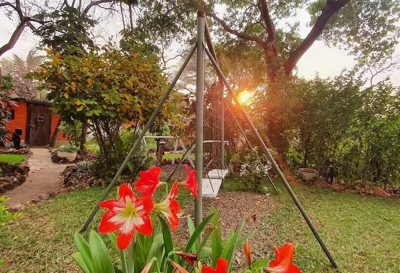 مسافرخانه Victoria Falls Backpackers Lodge