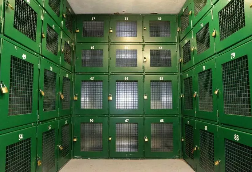 هتل Sheilas Tourist Hostel