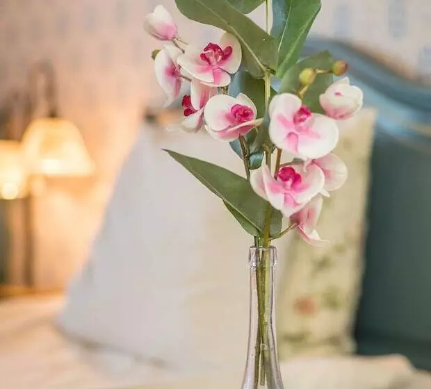 בית מלון כפרי Wasa Park