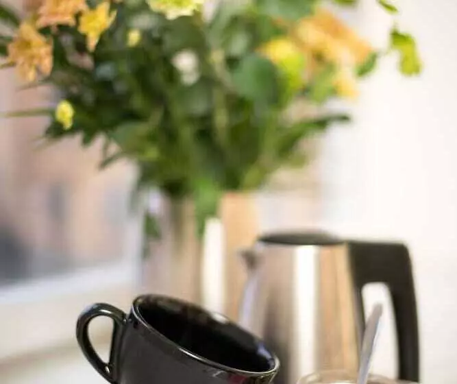 בית מלון כפרי Wasa Park