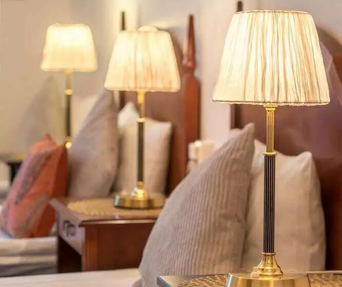 בית מלון כפרי Wasa Park