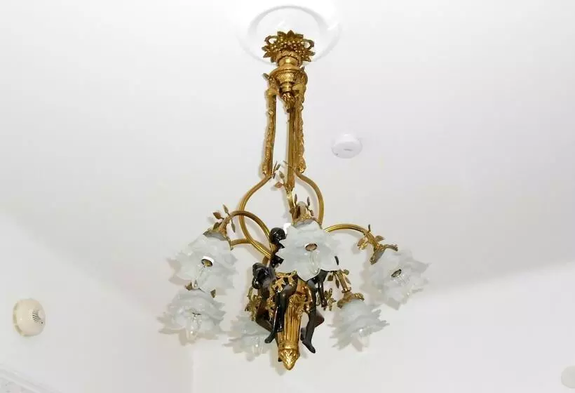 בית מלון כפרי Wasa Park