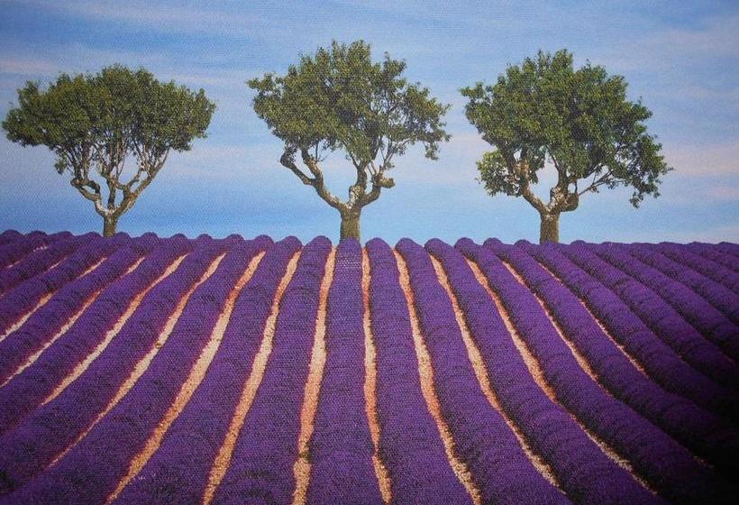 Robby's House Bed & Breakfast