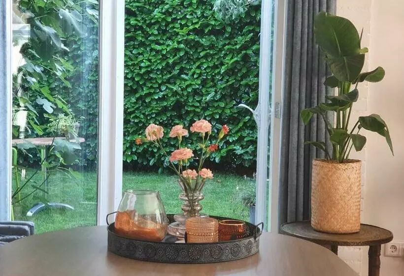 Bed And Breakfast En Studio Het Atelier