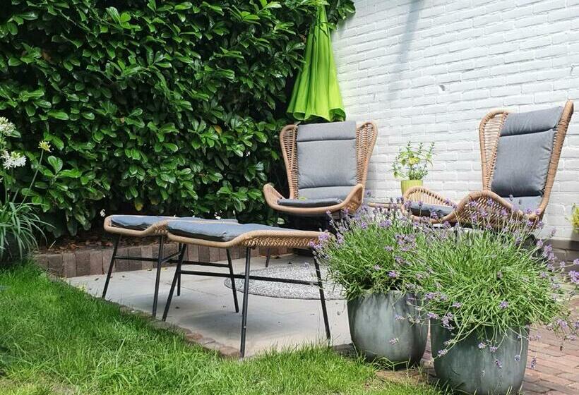 Bed And Breakfast En Studio Het Atelier