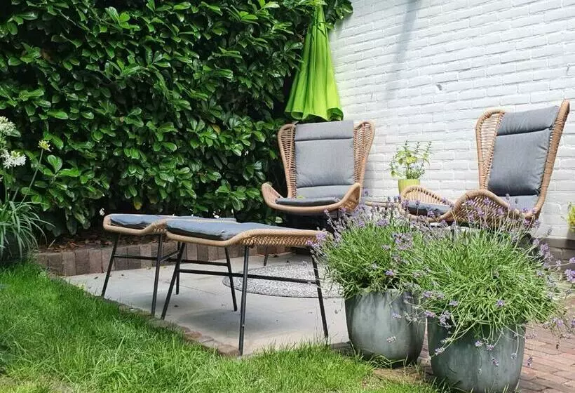 Bed And Breakfast En Studio Het Atelier