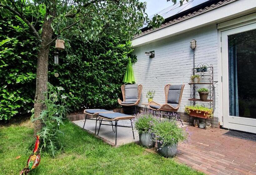 Bed And Breakfast En Studio Het Atelier