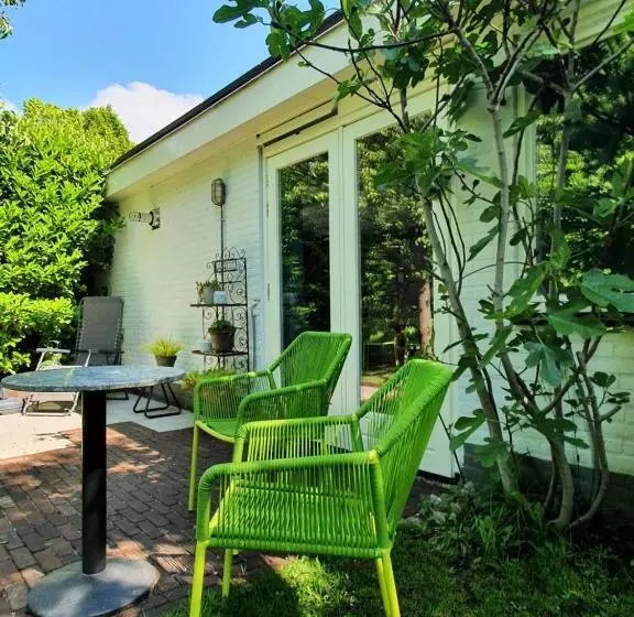 Bed And Breakfast En Studio Het Atelier