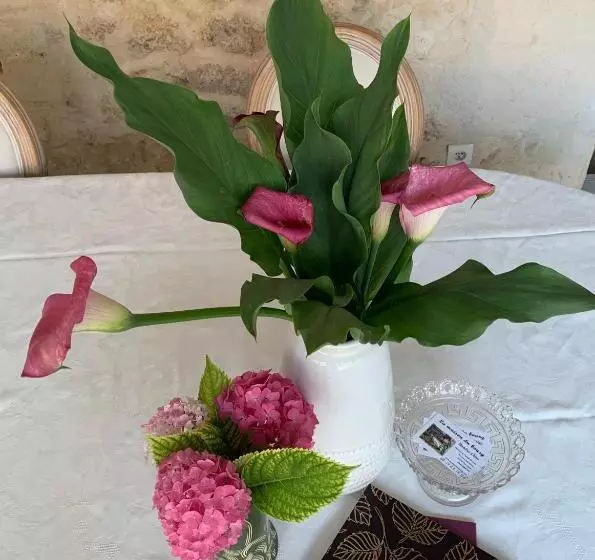 La Maison Du Bourg B&b