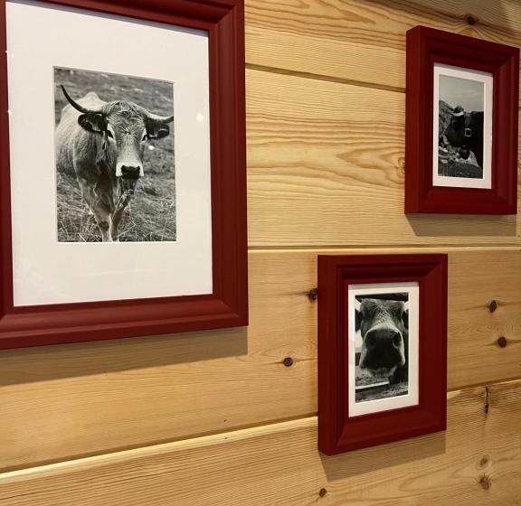 ホテル Fonda Peremiquel