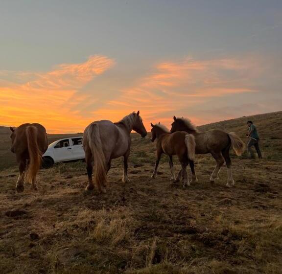 ホテル Fonda Peremiquel