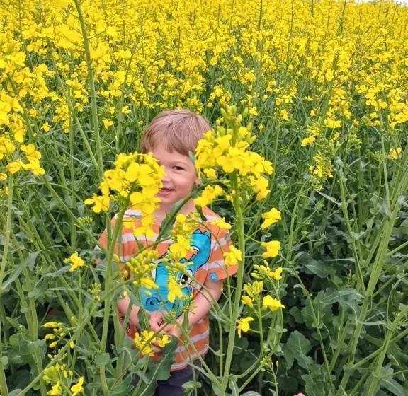 Majatalo Dorci Vendégház   A Piece Of Peace