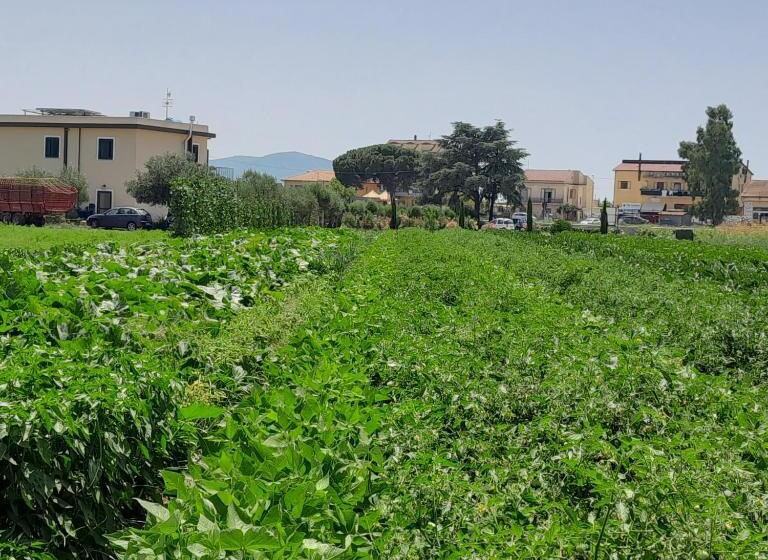 B&b Tenuta San Michele