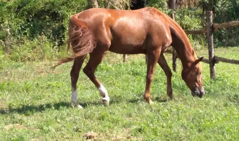 B&b Tenuta San Michele