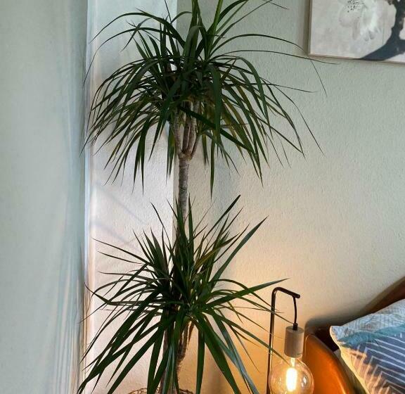 膳宿费 Haus Heideblick