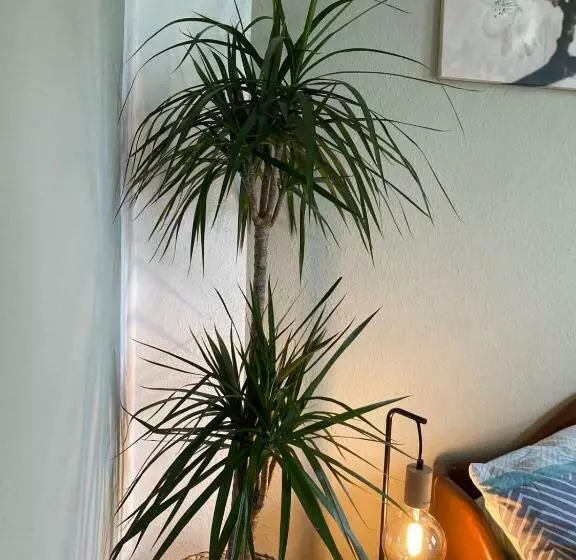 Majatalo Haus Heideblick