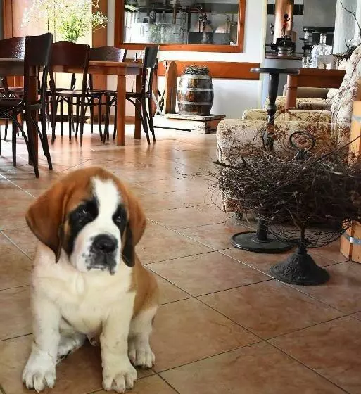 Majatalo Palírna Bludov