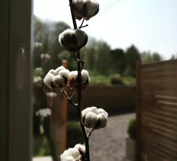 پانسیون Où Gît Le Bocq Spa Privatif