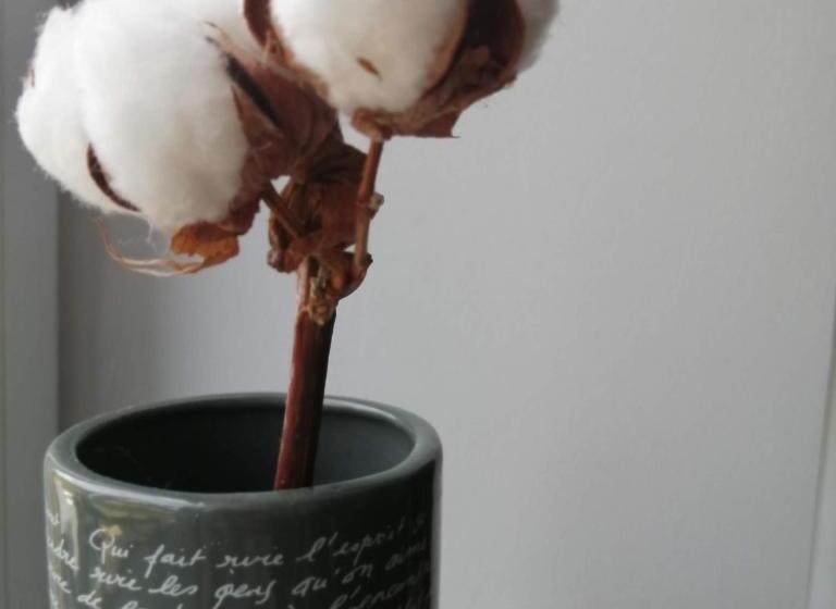 پانسیون Où Gît Le Bocq Spa Privatif