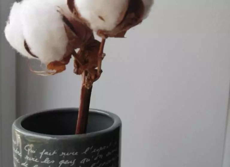 پانسیون Où Gît Le Bocq Spa Privatif