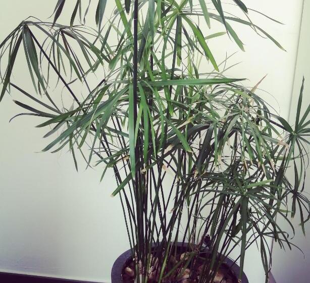 پانسیون Où Gît Le Bocq Spa Privatif