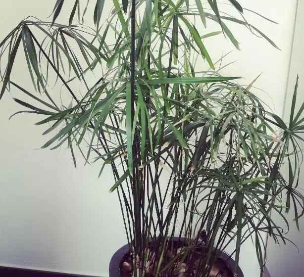 پانسیون Où Gît Le Bocq Spa Privatif