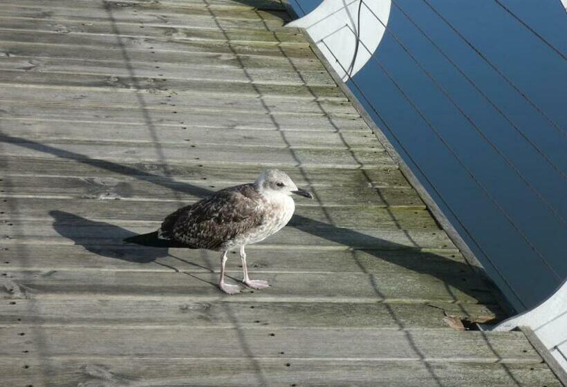 פנסיון Villa Barrinha