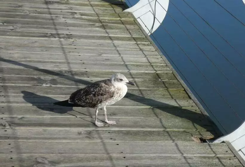 Majatalo Villa Barrinha