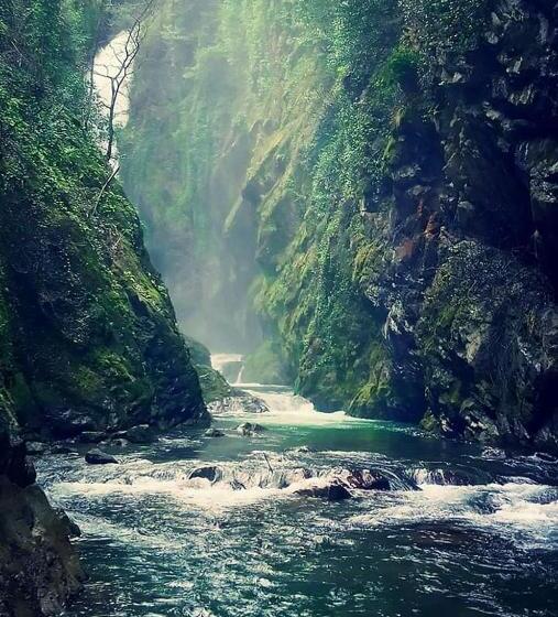 Reginaldo S Home Bed&breakfast