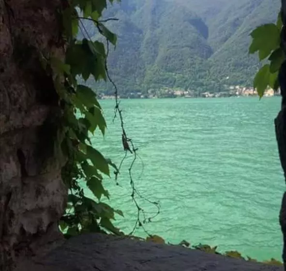 Reginaldo S Home Bed&breakfast