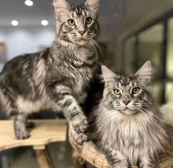민박 Chambre D Hôte Au Pied Du Ventoux