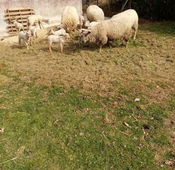 مبيت وإفطار La Bergerie