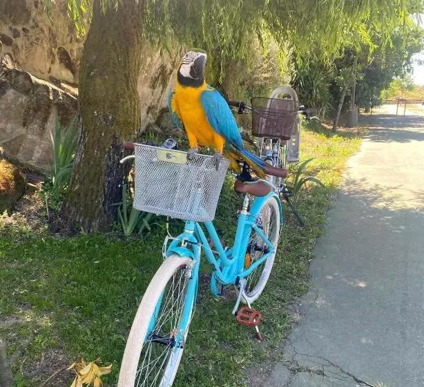 ベッドアンドブレックファースト Ninho D Arara