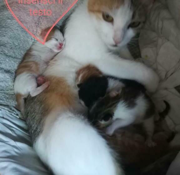 펜션 Affitta Camere Casa Delle Rose