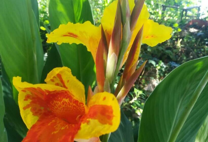 펜션 Affitta Camere Casa Delle Rose