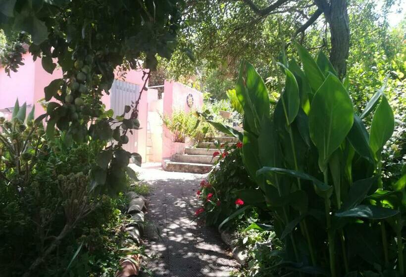 펜션 Affitta Camere Casa Delle Rose