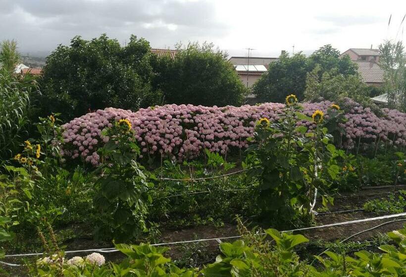 펜션 Affitta Camere Casa Delle Rose