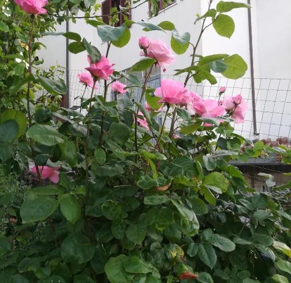 펜션 Affitta Camere Casa Delle Rose