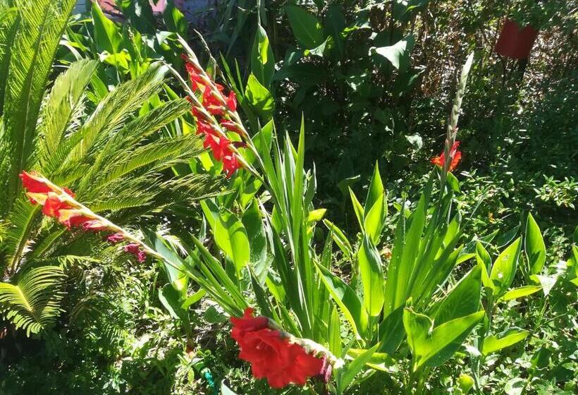 펜션 Affitta Camere Casa Delle Rose