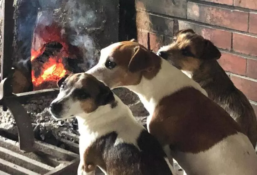 ベッドアンドブレックファースト Ancien Hôtel Aux Moines Pierrefitte St Lo