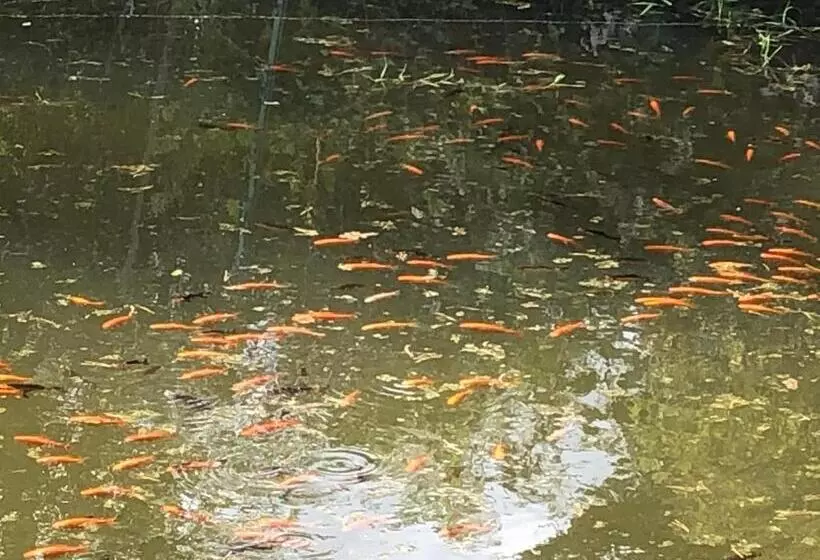 ベッドアンドブレックファースト Ancien Hôtel Aux Moines Pierrefitte St Lo