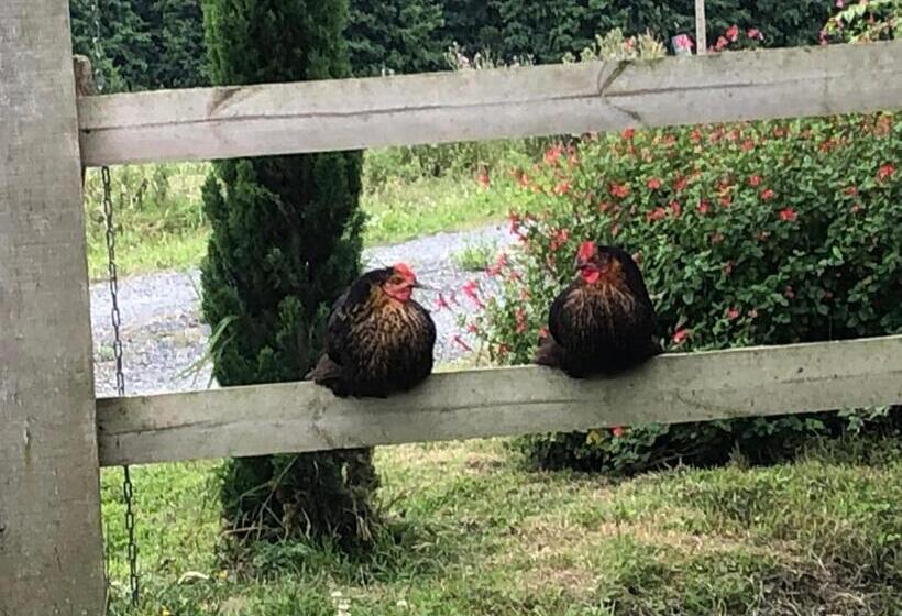 민박 Ancien Hôtel Aux Moines Pierrefitte St Lo