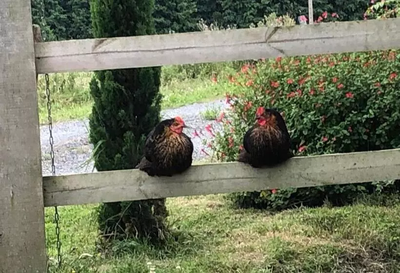 ベッドアンドブレックファースト Ancien Hôtel Aux Moines Pierrefitte St Lo