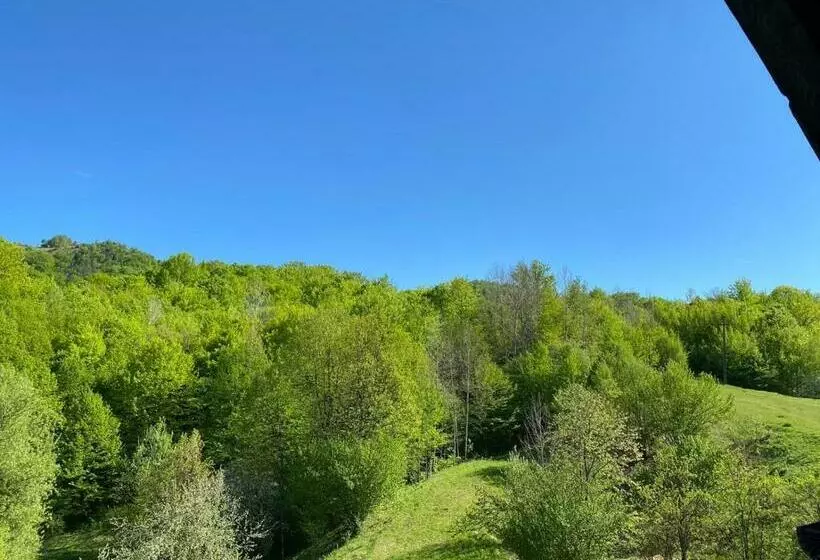 Majatalo Perla Muntilor Ponoarele, Padurea De Liliac