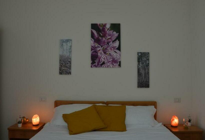 مبيت وإفطار Ca  Serafina